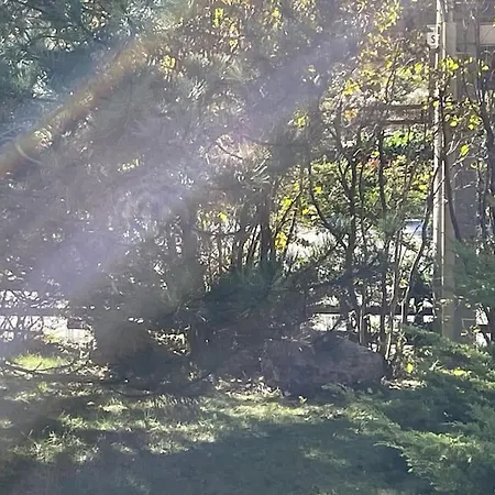 Fantastica Bardo * Bardonecchia